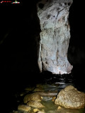 Peștera Cetățile Ponorului 115