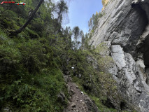 Peștera Cetățile Ponorului 85