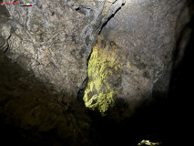 Peștera Comăna mai 2023 29