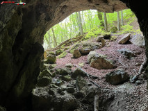 Peștera Comăna mai 2023 30