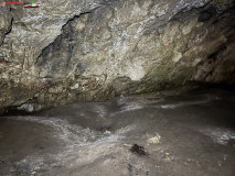 Peștera Comăna mai 2023 34