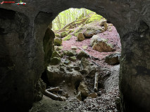 Peștera Comăna mai 2023 35