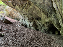 Peștera Comăna mai 2023 37