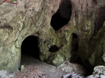 Peștera Comăna mai 2023 38