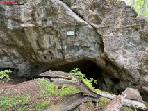 Peștera Comăna mai 2023 47