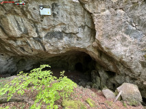 Peștera Comăna mai 2023 49