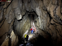 Peștera Comarnic 114