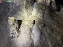 Peștera Comarnic 75