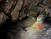 Peștera Comarnic 78