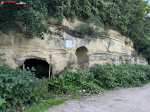 Peștera Contelui Bethlen 38