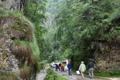 Peștera Dâmbovicioara 10