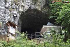 Peștera Dâmbovicioara 11