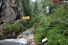 Peștera Dâmbovicioara 13