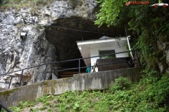 Peștera Dâmbovicioara 15
