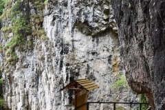 Peștera Dâmbovicioara 18