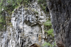 Peștera Dâmbovicioara 20
