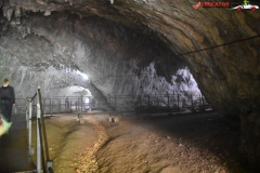 Peștera Dâmbovicioara 23