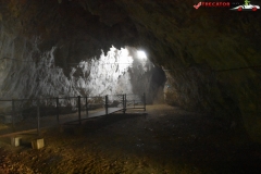 Peștera Dâmbovicioara 25