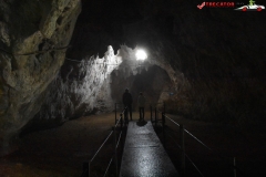 Peștera Dâmbovicioara 28
