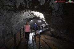 Peștera Dâmbovicioara 29