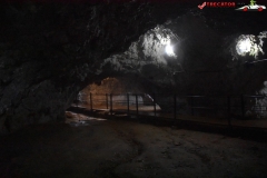 Peștera Dâmbovicioara 31