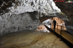 Peștera Dâmbovicioara 35