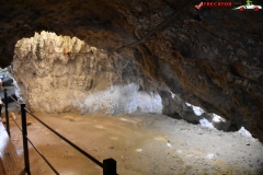 Peștera Dâmbovicioara 37