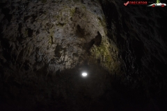 Peștera Dâmbovicioara 40