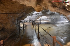 Peștera Dâmbovicioara 42