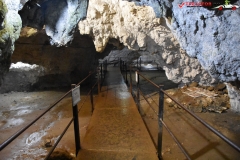 Peștera Dâmbovicioara 44