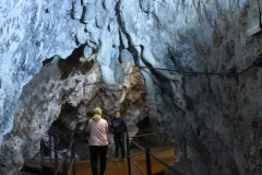 Peștera Dâmbovicioara 45