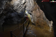 Peștera Dâmbovicioara 46