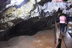 Peștera Dâmbovicioara 47