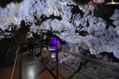 Peștera Dâmbovicioara 48
