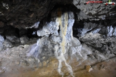Peștera Dâmbovicioara 49