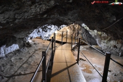 Peștera Dâmbovicioara 50