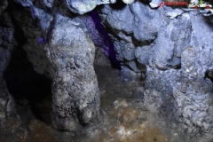Peștera Dâmbovicioara 52