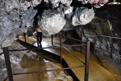 Peștera Dâmbovicioara 53