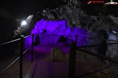 Peștera Dâmbovicioara 54