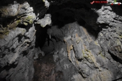 Peștera Dâmbovicioara 55