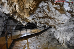 Peștera Dâmbovicioara 56