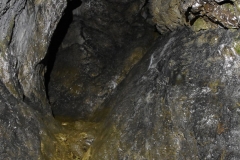 Peștera Dâmbovicioara 58