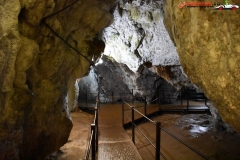 Peștera Dâmbovicioara 59