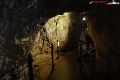 Peștera Dâmbovicioara 60