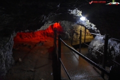 Peștera Dâmbovicioara 61