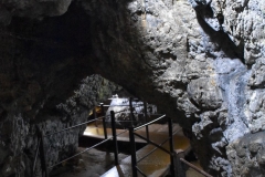 Peștera Dâmbovicioara 62