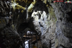 Peștera Dâmbovicioara 63