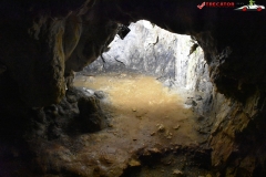 Peștera Dâmbovicioara 67