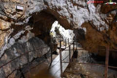 Peștera Dâmbovicioara 68