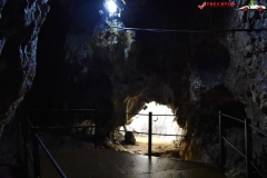 Peștera Dâmbovicioara 70